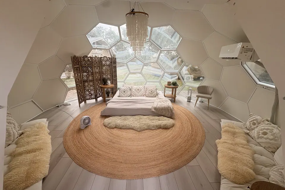 Inside the Honeycomb Dome, looking up through the panels