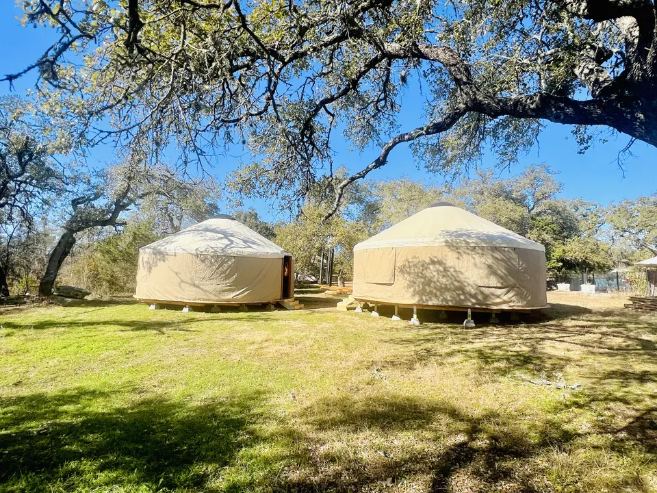The two yurts on the grass beneath the live oaks